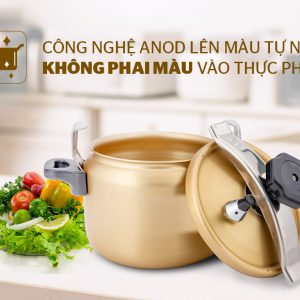 Nồi áp suất Anod SUNHOUSE SHA8604 01