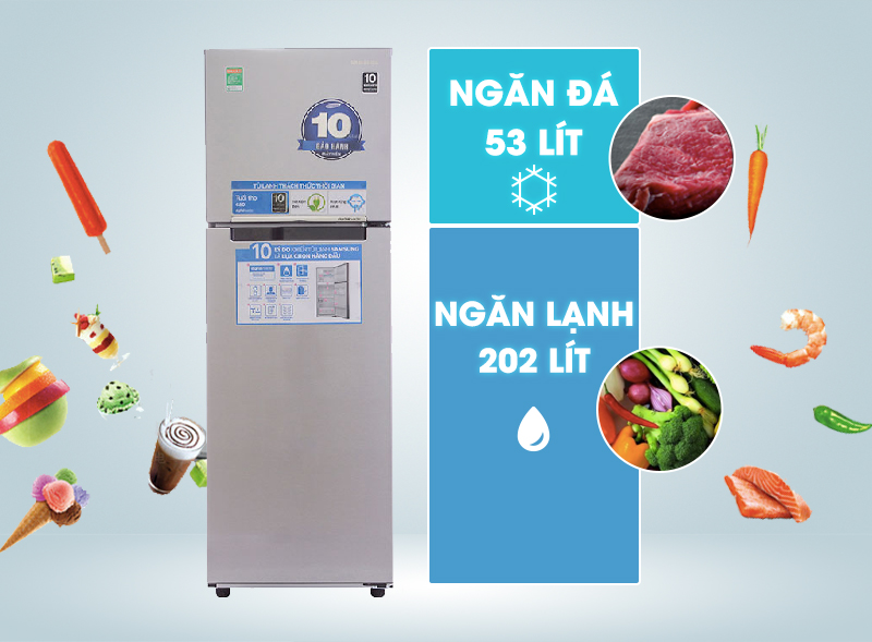 dung tích tủ lạnh RT25HAR4DSA/SV