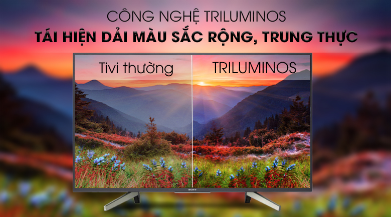 Công nghệ Triluminos - Android Tivi Sony 49 inch KDL-49W800G Mẫu 2019