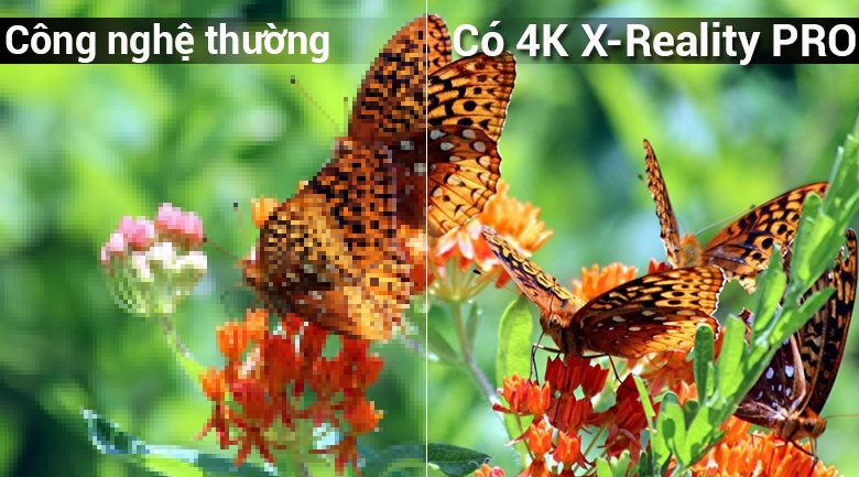 công nghệ 4K X-Reality PRO trên Android Tivi Sony 4K 85 inch KD-85X9000F