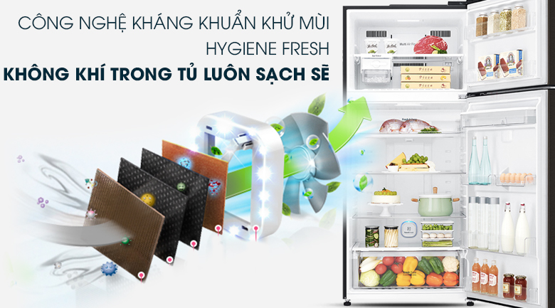 Tủ lạnh LG Inverter 475 lít GN-D602BL - Khử mùi