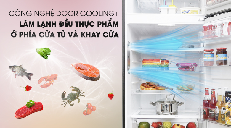 Door Cooling+ - Tủ lạnh LG Inverter 393 lít GN-L422GB