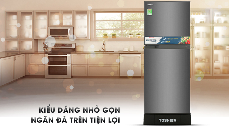 Tủ lạnh Toshiba Inverter 194 lít GR-A25VS (DS)