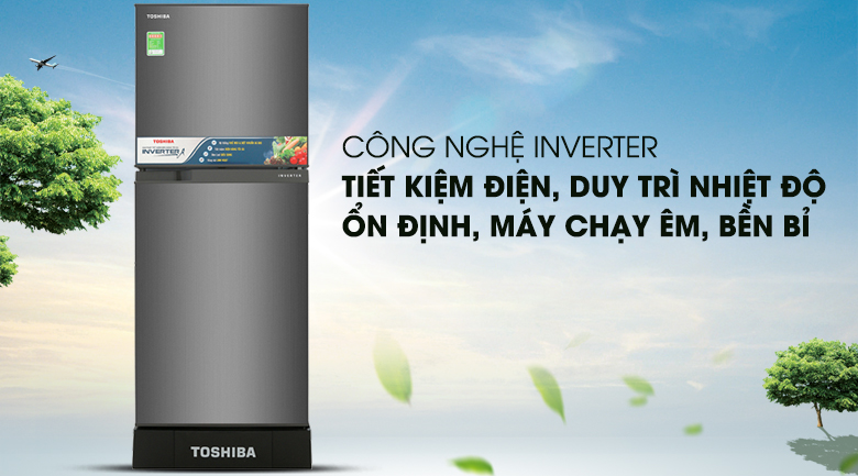 Tích hợp công nghệ Inverter ưu việt, tiết kiệm điện - Tủ lạnh Toshiba Inverter 194 lít GR-A25VS (DS)