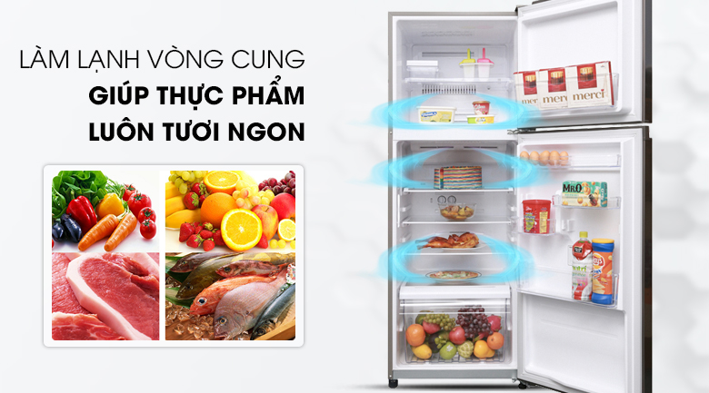 Thực phẩm nhận được đầy đủ hơi lạnh với hệ thống làm lạnh vòng cung - Tủ lạnh Toshiba Inverter 305 lít GR-A36VUBZ DS1